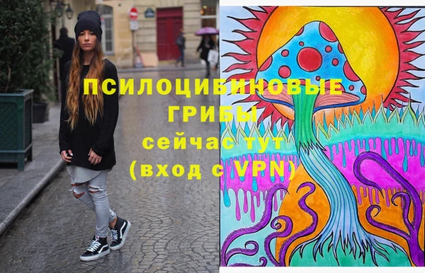 сатива Абдулино