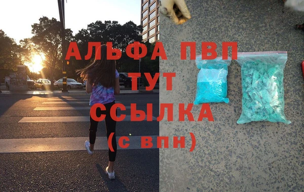 спиды Абаза