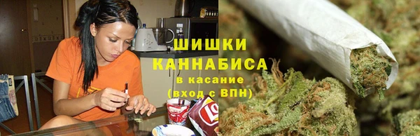 сатива Абдулино