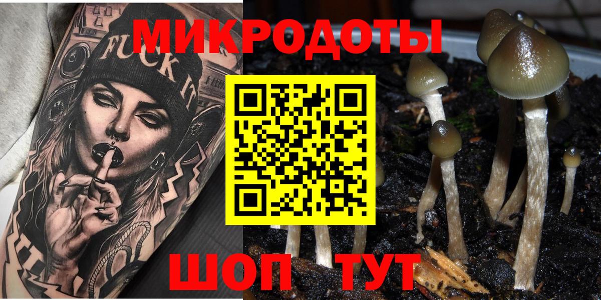 Псилоцибиновые грибы Psilocybine cubensis Шумерля
