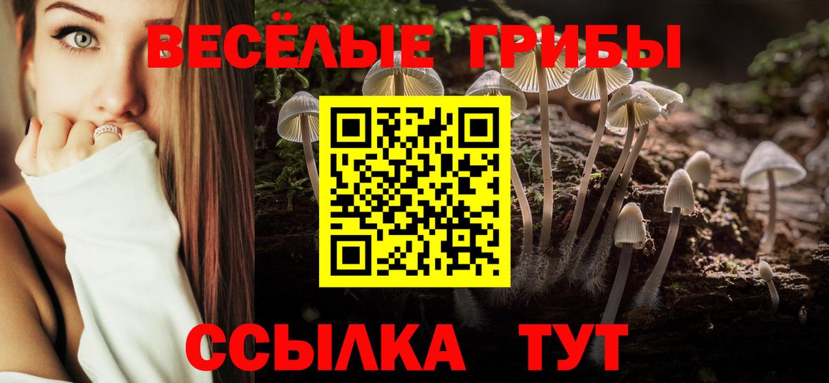 Псилоцибиновые грибы Cubensis  Вход с VPN  Псилоцибиновые грибы мухоморы  Шумерля 